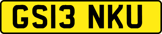 GS13NKU