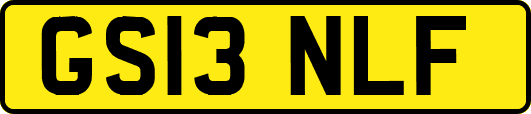GS13NLF