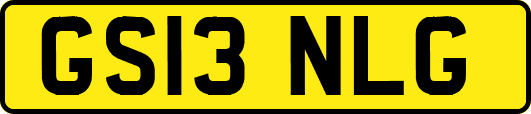 GS13NLG