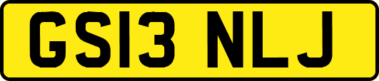 GS13NLJ