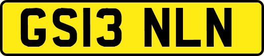 GS13NLN