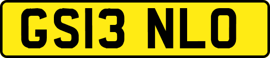 GS13NLO