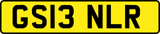 GS13NLR