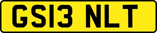 GS13NLT