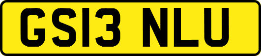 GS13NLU