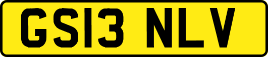 GS13NLV