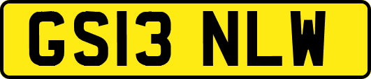 GS13NLW