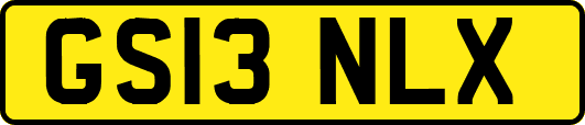 GS13NLX