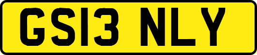 GS13NLY