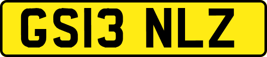 GS13NLZ