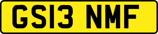 GS13NMF