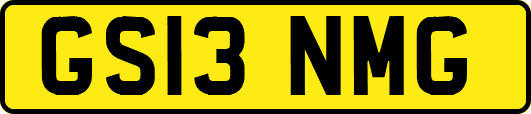 GS13NMG