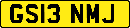 GS13NMJ