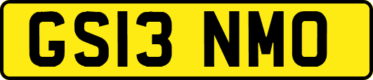 GS13NMO