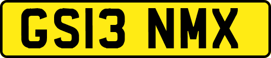 GS13NMX