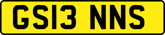 GS13NNS