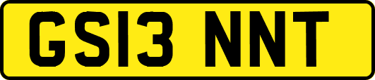 GS13NNT