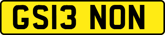 GS13NON