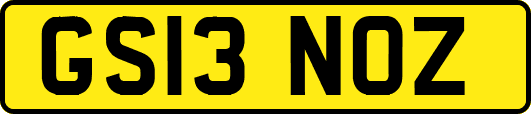 GS13NOZ