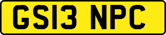 GS13NPC