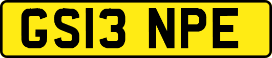 GS13NPE