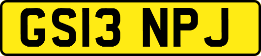 GS13NPJ