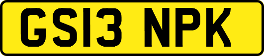 GS13NPK
