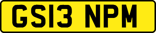 GS13NPM