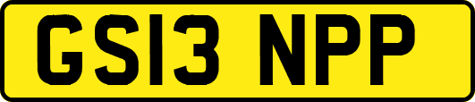 GS13NPP