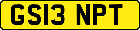 GS13NPT