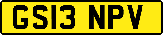 GS13NPV