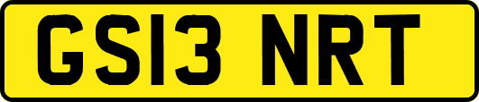 GS13NRT