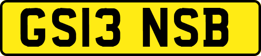 GS13NSB