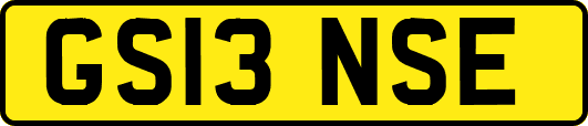 GS13NSE