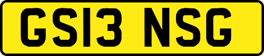 GS13NSG