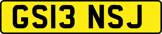 GS13NSJ