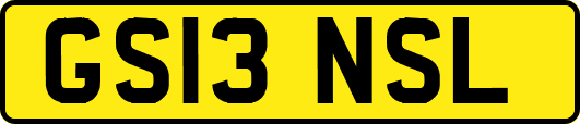 GS13NSL
