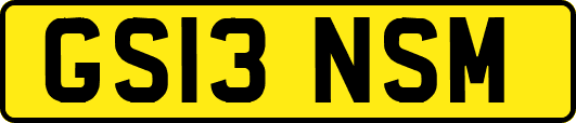 GS13NSM