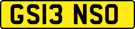 GS13NSO