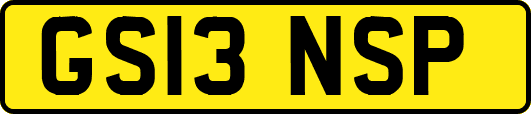 GS13NSP