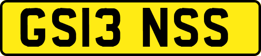GS13NSS