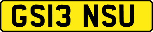 GS13NSU