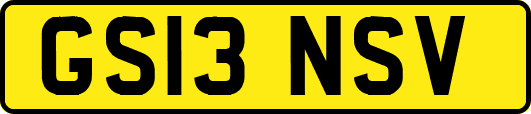 GS13NSV