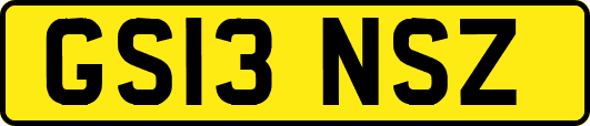 GS13NSZ