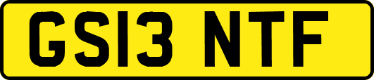 GS13NTF