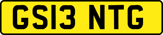 GS13NTG