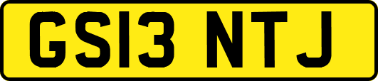 GS13NTJ