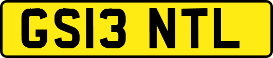 GS13NTL