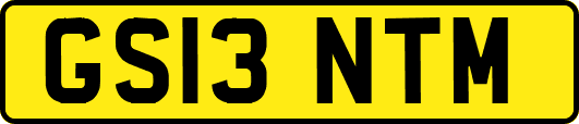 GS13NTM