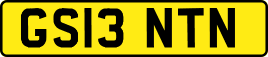GS13NTN